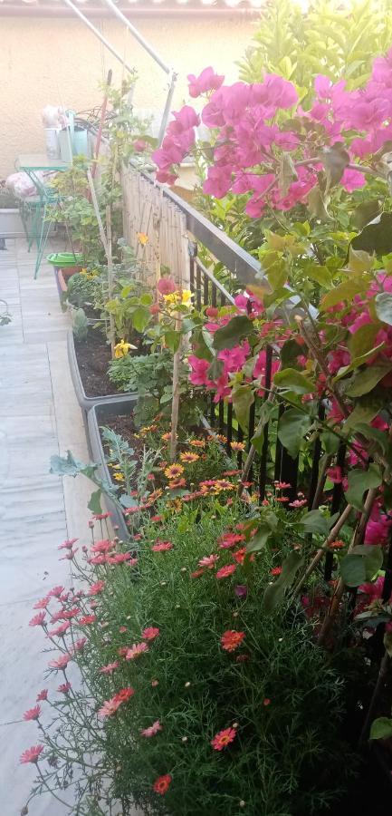 Aegina'S Flowers House Exterior foto